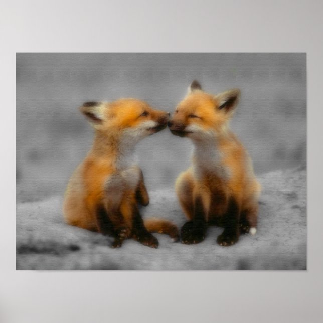 Póster Little Fox Love (Frente)