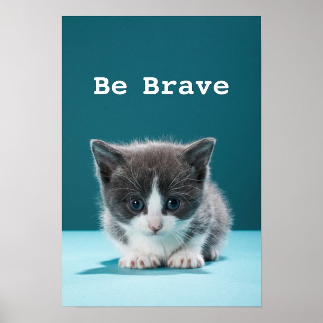 Póster Little Kitten (Frente)