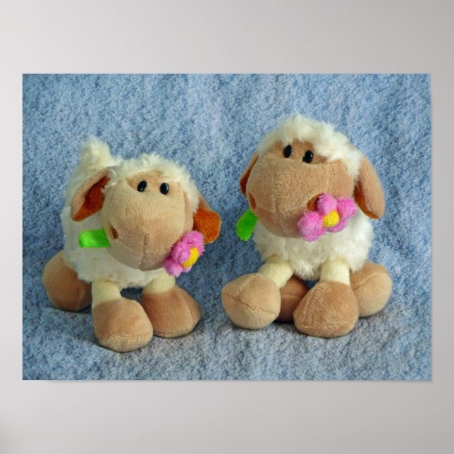 Póster Little Lambs (Frente)