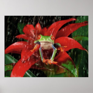 Póster Little Rain_(4)