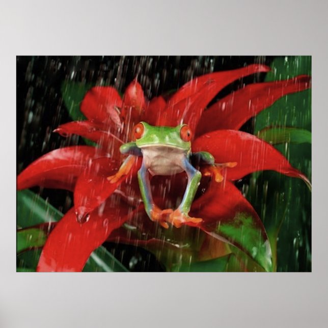 Póster Little Rain_(4) (Frente)