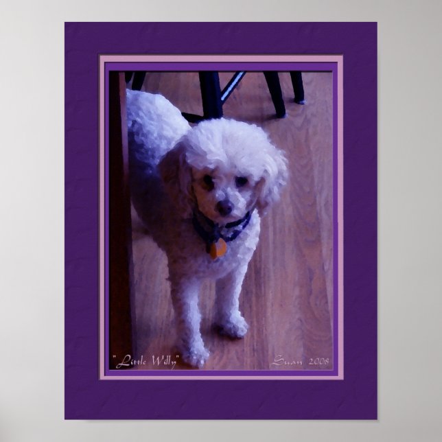 Póster Little Willy Poster (Frente)