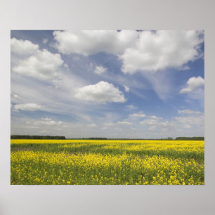 Póster Lituania, Lituania central, Joniskis, campo de