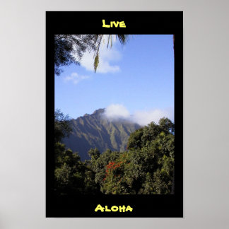 Póster Live Aloha