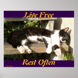 Póster "Live Free", Smiler, cute, cat, gift