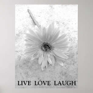Póster Live Love Laugh Black and White Gerber Daisy