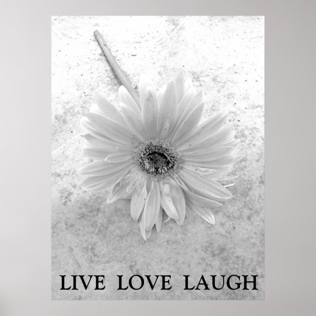 Póster Live Love Laugh Black and White Gerber Daisy (Frente)
