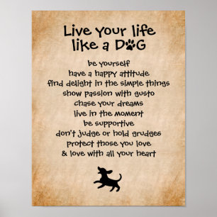 Póster Live Your Life... Dog Qualities