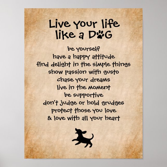 Póster Live Your Life... Dog Qualities (Frente)