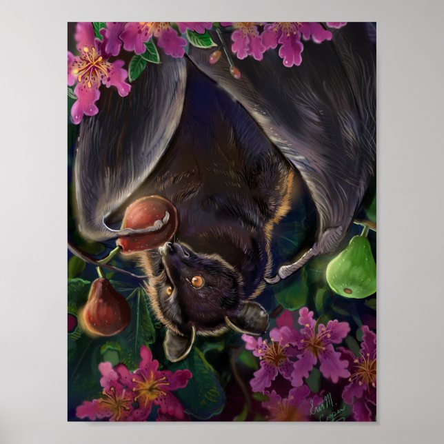 Póster Livingstone Flying Fox (Frente)