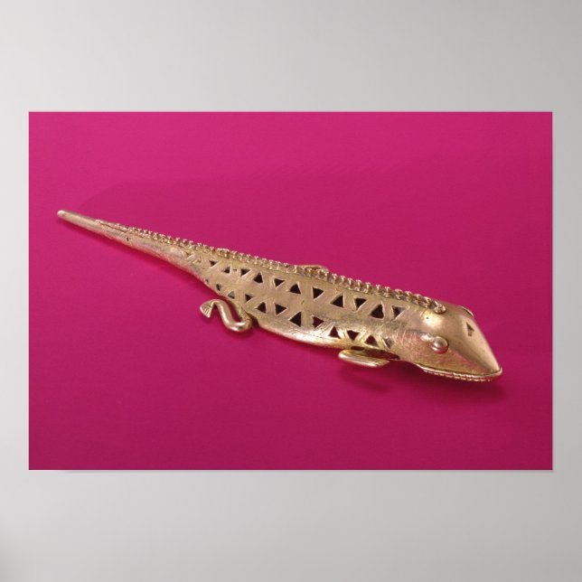 Póster Lizard, de Colombia (Frente)