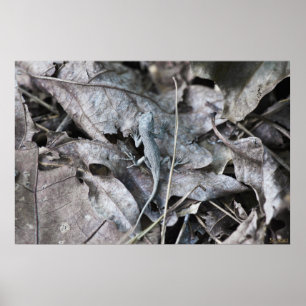 Póster Lizard en las hojas Poster de camuflaje monocromo