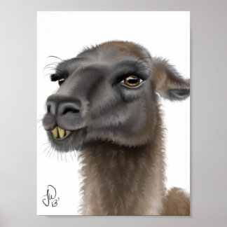 Póster Llama