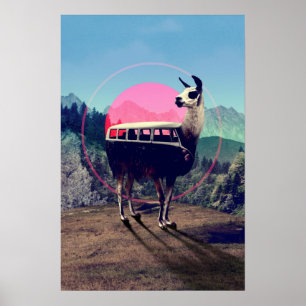 Póster Llama