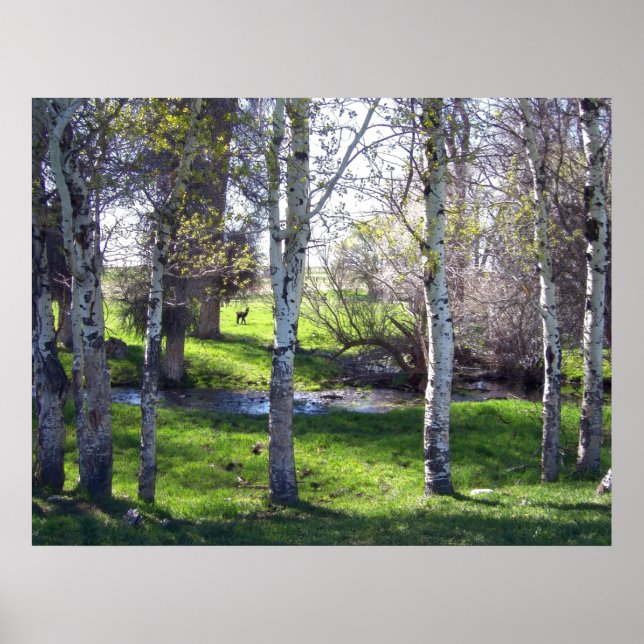 Póster Llama a través de árboles (Frente)