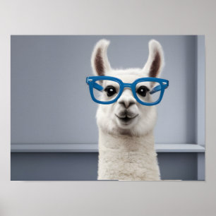 Póster Llama Blanca Quirky Con Glass Azules