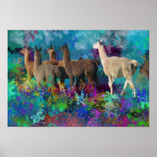 Póster Llama cinco caminatas en tierra de fantasía para c