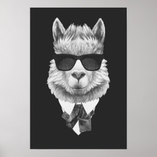 Póster Llama con clase