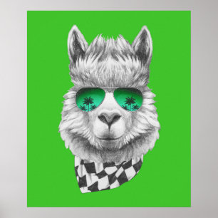 Póster llama de California