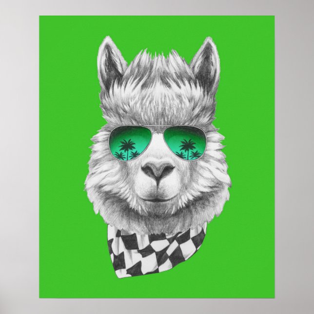 Póster llama de California (Frente)