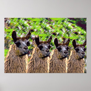 Póster ¿'Llama del SE de Como? '