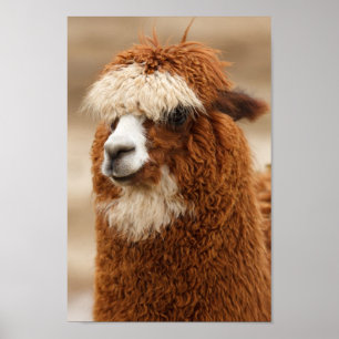 Póster Llama difusa