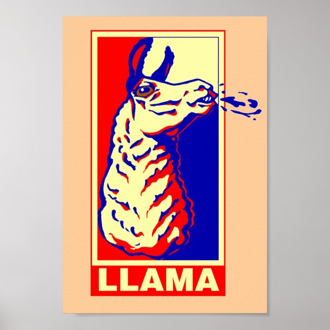 Póster Llama esperanza (Frente)