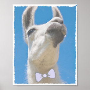 Póster Llama fiesta con una corbata