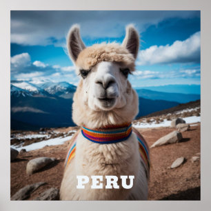 Póster Llama peruana