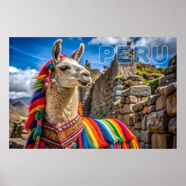 Póster Llama peruana (Frente)