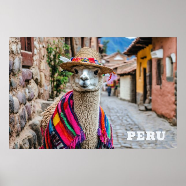 Póster Llama peruana (Frente)