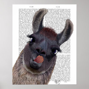 Póster Llama tonta