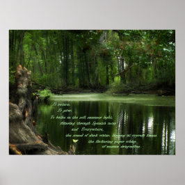 Póster Llamada del afiche fotográfico del sur