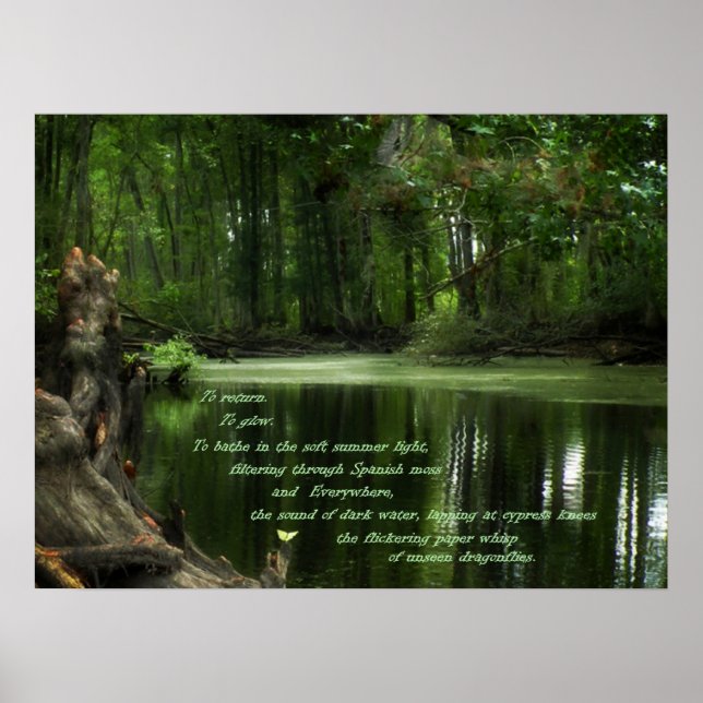 Póster Llamada del afiche fotográfico del sur (Frente)