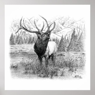 Póster Llamada del Rey