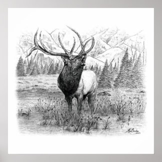 Póster Llamada del Rey