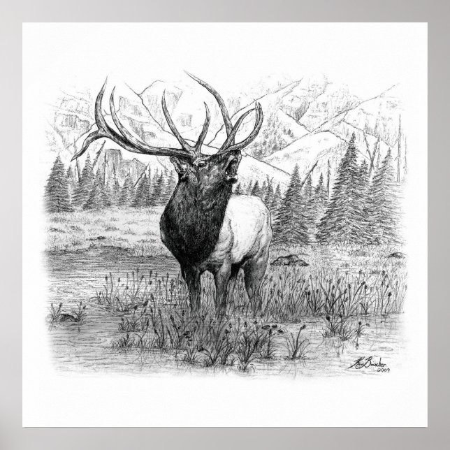 Póster Llamada del Rey (Frente)