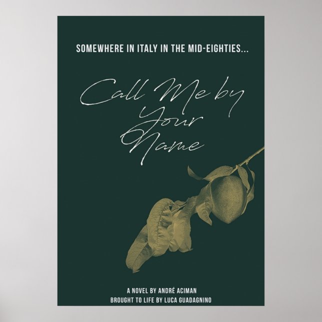 Póster Llámame por tu nombre 2 (Frente)