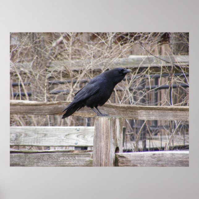 Póster Llamando a la fila 1 (Frente)