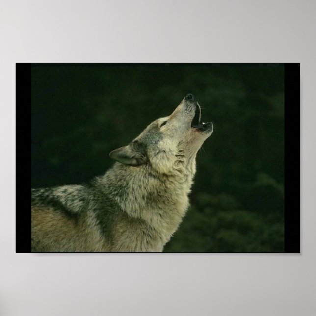 Póster Llamando al paquete (Frente)