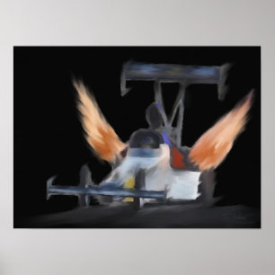 Póster Llamas