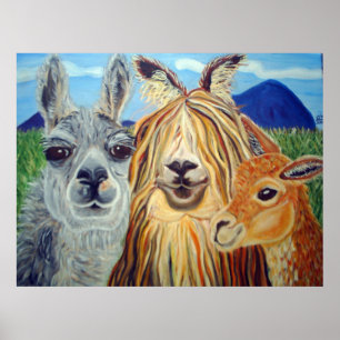 PÓSTER LLAMAS DE LA REUNIÓN: ¡LLAMA, ALPACA, VICUÑA!!!