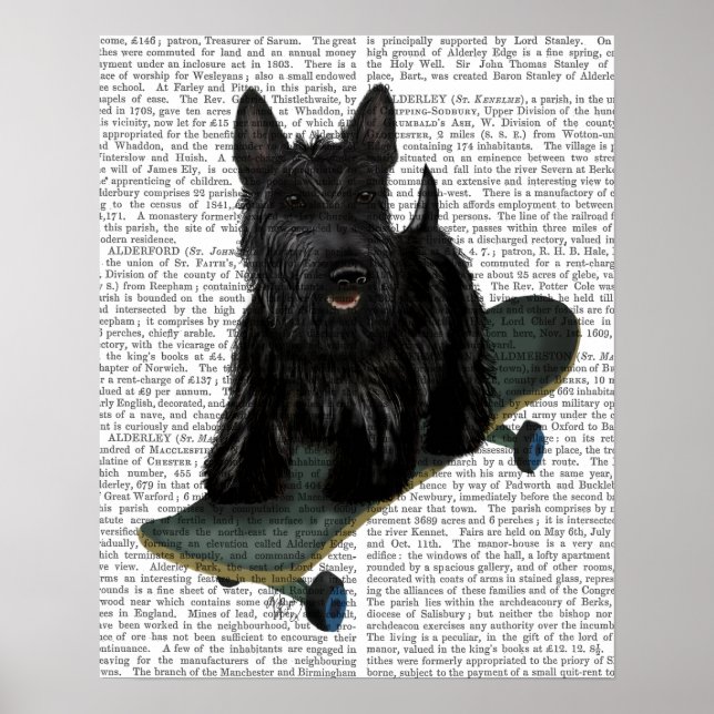 Póster Llanura de Bulldog francesa (Frente)