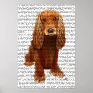 Póster Llanura de Cocker Spaniel