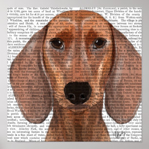 Póster Llanura de Ilustracion Dachshund