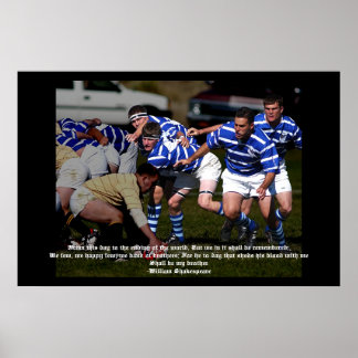 Póster Llegan las zoomías