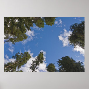Póster Llegar a los cielos