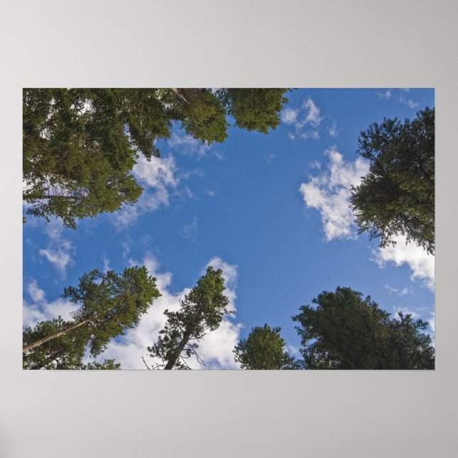 Póster Llegar a los cielos (Frente)