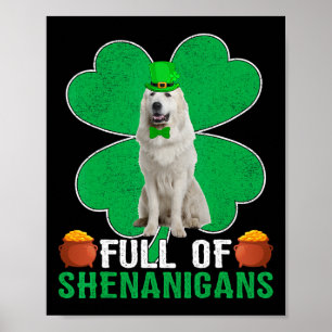 Póster Lleno de Travesuras Perro Irlandés Great Pyrenees