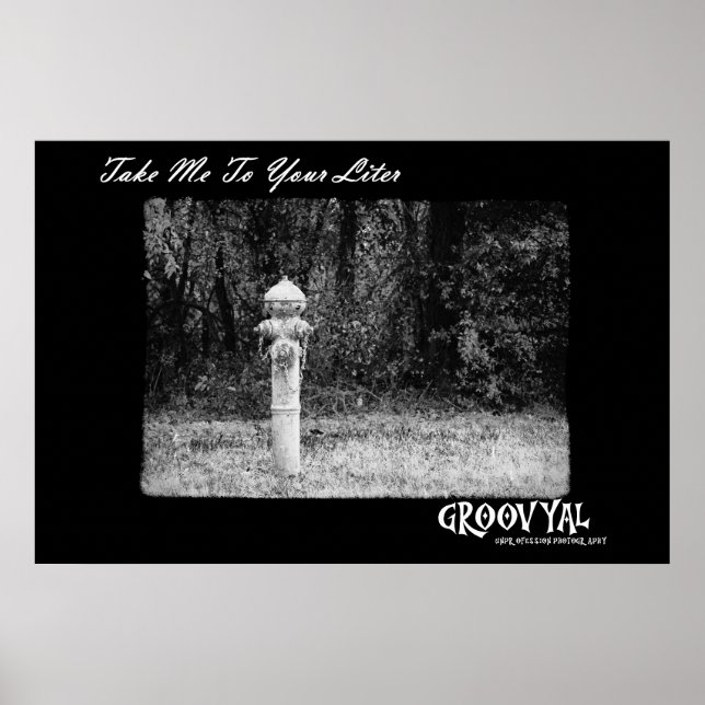 Póster Llévame A Tu Litro (Frente)